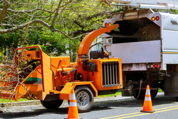 Seasonal Cleanup in Palo Cedro, CA